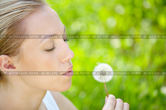 The girl blows on a dandelion on a background of a grass. Spring entertainments. Стоковое фото, агентство Ingram Publishing / Фотобанк Лори