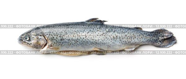 the gutted trout. Стоковое фото, фотограф Jiri Hera / Smarterpix / Фотобанк Лори