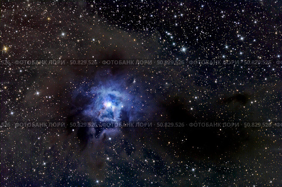 The Iris Nebula Roth Ritter/Stocktrek Images. Стоковое фото, агентство ТАСС / Фотобанк Лори