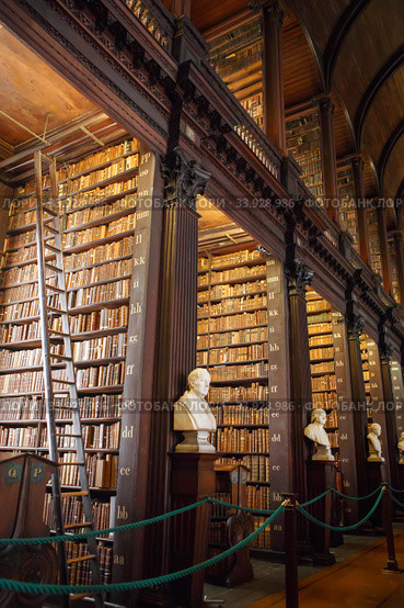 The Long Room interior Of The Old Library At Trinity College. Marble busts of great people and shelves with antique tomes (2019 год). Редакционное фото, фотограф Nataliia Zhekova / Фотобанк Лори