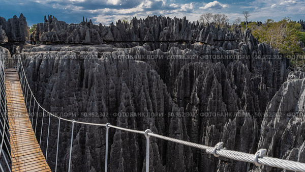 The pedestrian bridge spans over a chasm between steep cliffs with sharp peaks. A boardwalk, a railing made of steel ropes. Blue sky, clouds. Madagascar. Tsingy De Bemaraha. Стоковое фото, фотограф Вера Ивановна Кубарева / Фотобанк Лори