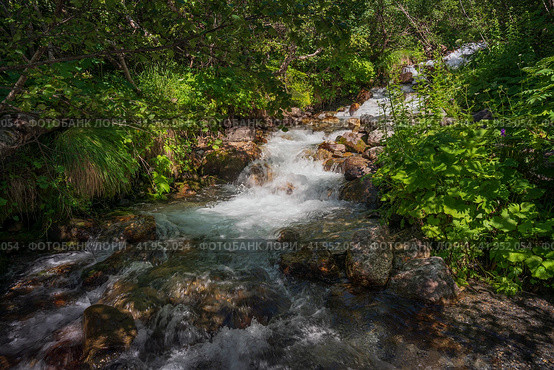 The sources of the Alibek River flowing down from the mountain slopes of the North Caucasus on the territory of the Teberdinsky Reserve on a sunny summer day, Dombai, Karachay-Cherkessia, Russia. Стоковое фото, фотограф Ula Ulachka / Фотобанк Лори