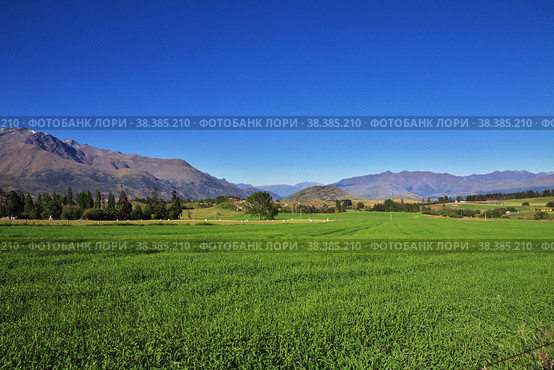 The view of nature in New Zealand. Стоковое фото, фотограф Сергей Стрелков / Фотобанк Лори