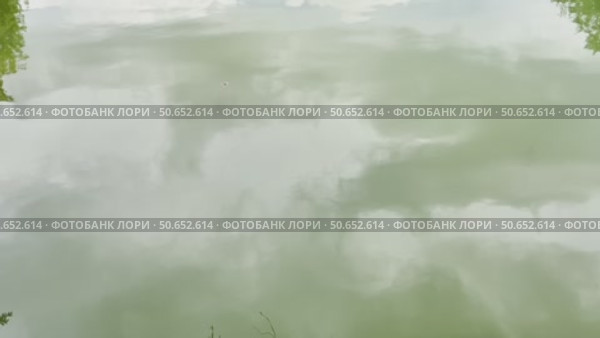 The water is green and the sky is cloudy. Стоковое видео, видеограф Ярославский Максим / Фотобанк Лори