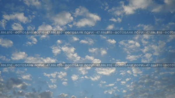 Time lapse altocumulus high cumulus heaped cloud stratocumuliform. Globular masses or rolls in layers or patches. Cumuliform stratocumuliform clouds, altocumulus signifies convection. Blue sky. Стоковое видео, видеограф Юлия Петровская / Фотобанк Лори