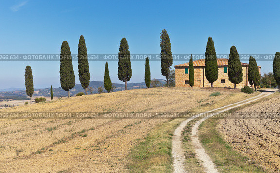 Типичный тосканский дом с кипарисами близ Пьенцы (Italia, Toscana, Parco Val d'Orcia, Pod. Cipressino, Pienza) (2013 год). Стоковое фото, фотограф Виктория Катьянова / Фотобанк Лори