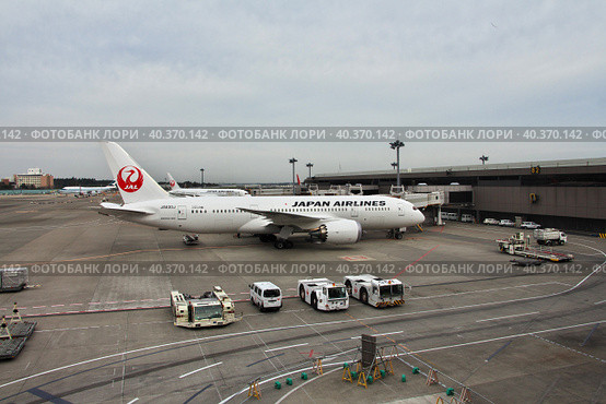 Tokyo, Japan - 10 Nov 2013: The airplane of Japan Airlines in the airport, Tokio, Japan. Редакционное фото, фотограф Сергей Стрелков / Фотобанк Лори