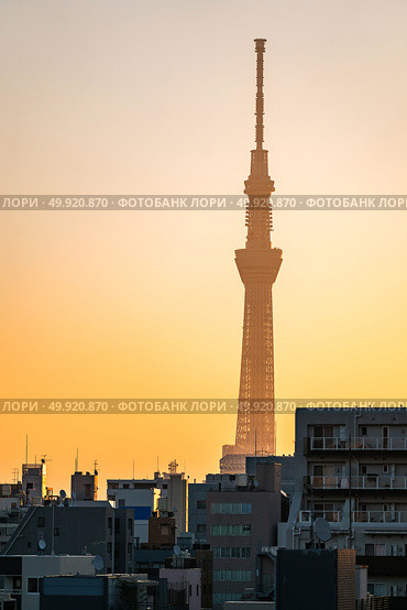 Tokyo Skytree with skyline building sunrise Ueno Japan. Стоковое фото, агентство Ingram Publishing / Фотобанк Лори