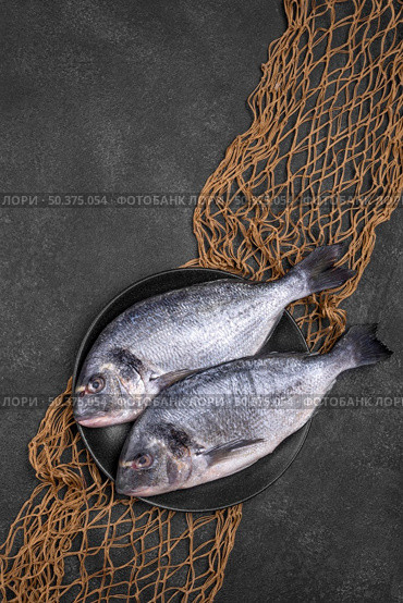 top view fish plate fish net. Стоковое фото, агентство Ingram Publishing / Фотобанк Лори