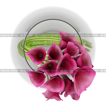 top view of calla lilies in glass vase isolated on white background. Стоковое фото, агентство Ingram Publishing / Фотобанк Лори