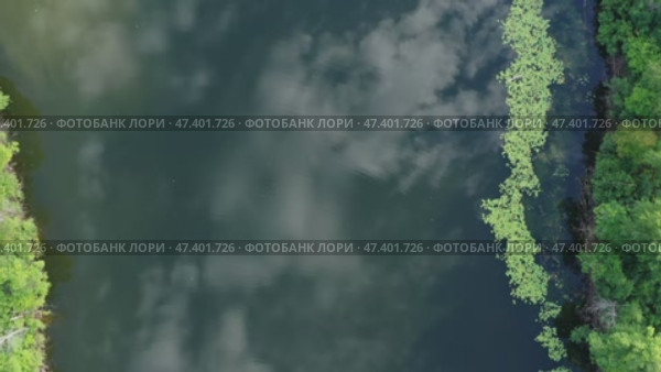 Top view of calm summer lake. Стоковое видео, видеограф Михаил Коханчиков / Фотобанк Лори