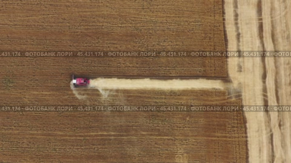 Top view of combine on harvest field. Стоковое видео, видеограф Михаил Коханчиков / Фотобанк Лори