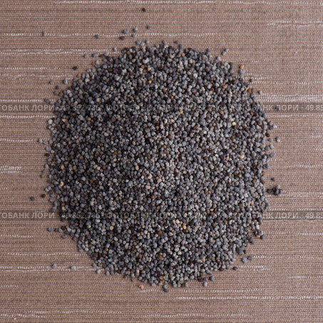 Top view of poppy seeds against brown vinyl background. Стоковое фото, агентство Ingram Publishing / Фотобанк Лори