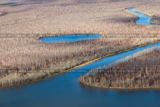 Top view perspective of autumn forest and river. Стоковое фото, фотограф Владимир Мельников / Фотобанк Лори