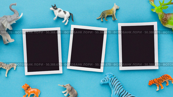 top view s with animal figurines animal day. Стоковое фото, агентство Ingram Publishing / Фотобанк Лори