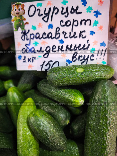Торговля огурцами на рынке. Стоковое фото, фотограф Мария Сергеева / Фотобанк Лори