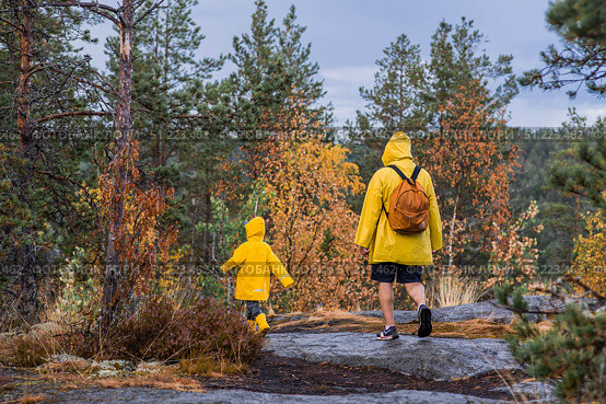Tourism. Hiking. Ladoga skerries. Father and son tourists in yellow raincoats on stone islands in the forest. Republic of Karelia, Russia. Стоковое фото, фотограф Photojuli / Фотобанк Лори