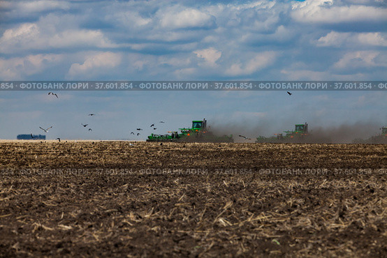 Tractors cultivating soil with plows. Dust cloud and birds. Blue sky,clouds. Spring sowing campaign. Стоковое фото, фотограф Alexey Rezvykh / Фотобанк Лори
