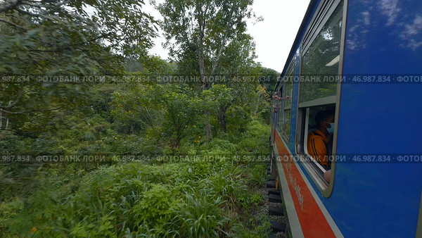 Traveling train in midst of green forest in tropical mountains. Стоковое фото, фотограф David Kashakhi / Фотобанк Лори