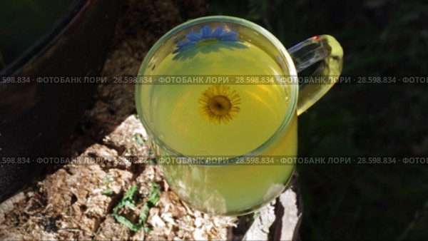 Травяной чай. Наливание в кружку. Herbal tea. Pouring tea into a mug. Two variants. Стоковое видео, видеограф Евгений Романов / Фотобанк Лори