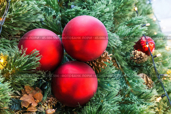 Три ярких красных шара на новогодней елке.  Christmas and New Year holiday background. Стоковое фото, фотограф Лариса Гордеева / Фотобанк Лори