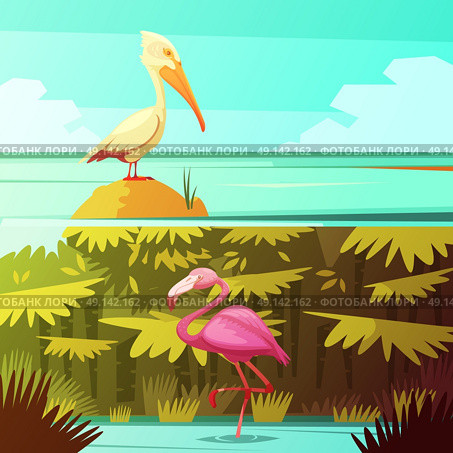 Tropical Birds Horizantal Retro Banners Set. Tropical rainforest fauna 2 retro cartoon banners set with pink flamingo and pelican bird isolated vector illustration . Стоковая иллюстрация, агентство Ingram Publishing / Фотобанк Лори