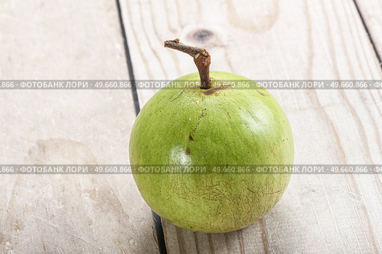 Tropical sweet fruit Sapote Star apple. Стоковое фото, фотограф Андрей Старостин / Фотобанк Лори