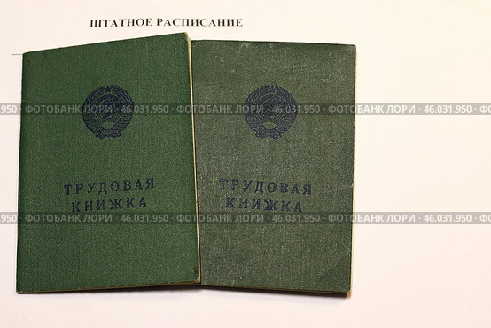 Трудовые книжки и штатное расписание. Стоковое фото, фотограф Сергей Шелагин / Фотобанк Лори