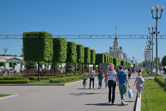 Центральная аллея на ВДНХ в Москве, Россия. Липы с квадратной кроной ландшафтного дизайнера Андрея Коровянского (2022 год). Редакционное фото, фотограф Елена Коромыслова / Фотобанк Лори