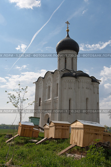 Церковь Покрова на Нерли и пасека (2009 год). Редакционное фото, фотограф Ярослава Синицына / Фотобанк Лори