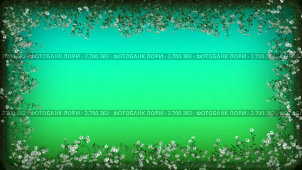 Цветочная рамка. Стоковая анимация, аниматор Алексей Комаренко / Фотобанк Лори