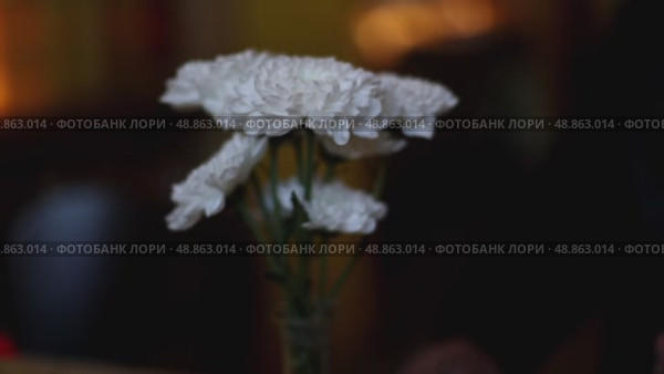 Цветы в вазе. Стоковое видео, видеограф Клопотовская Мария / Фотобанк Лори