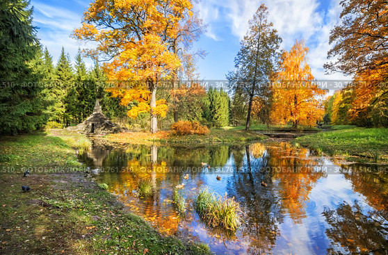 Туфовый мост и осень Tufa Bridge in Tsarskoe Selo and autumn (2013 год). Редакционное фото, фотограф Baturina Yuliya / Фотобанк Лори