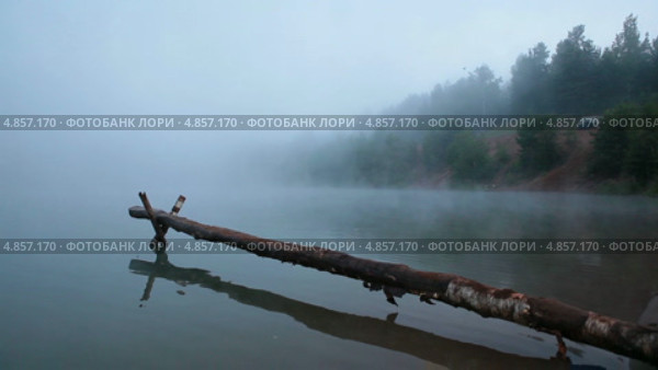 Туман на озере утром. Стоковое видео, видеограф Кекяляйнен Андрей / Фотобанк Лори