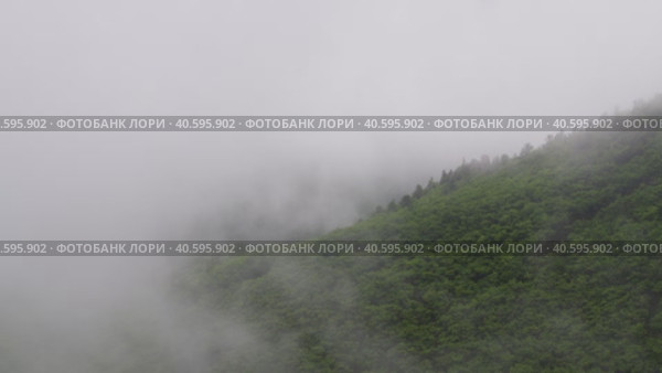 Туман покрывает склон сопки. Стоковое видео, видеограф Кузнецов Александр / Фотобанк Лори
