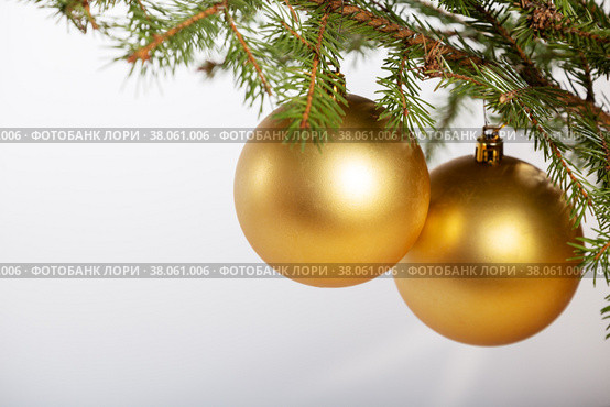 Two golden baubles on a branch of a Christmas tree. Стоковое фото, фотограф Юлия Бабкина / Фотобанк Лори