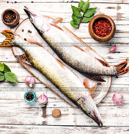 Two raw pike with spices on an old wooden background.Raw fish with spices for cooking.. Fish pike on the kitchen board. Стоковое фото, агентство Ingram Publishing / Фотобанк Лори