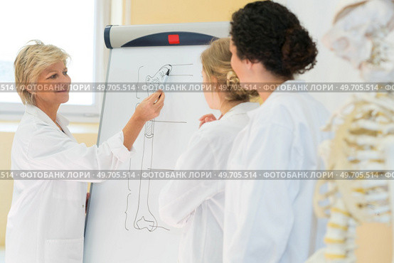 two young women studying human body. Стоковое фото, агентство Ingram Publishing / Фотобанк Лори