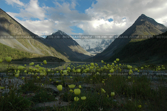 У подножья Белухи (2008 год). Редакционное фото, фотограф Абдурагимова Наталия / Фотобанк Лори