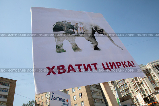 Участник Марша в защиту животных в городе Москве держит плакат трбованием запретить использование животных в цирковых номерах (2019 год). Редакционное фото, фотограф Николай Винокуров / Фотобанк Лори