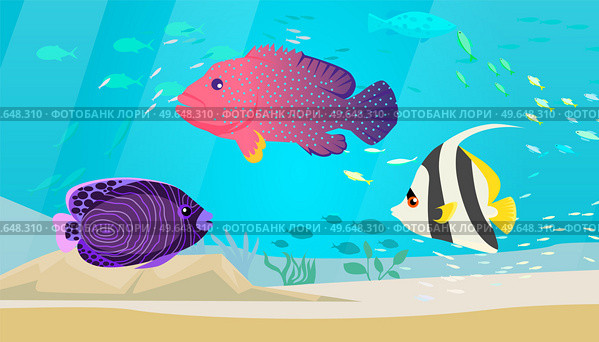 Underwater ocean fauna with exotic fishes. Ocean bottom with marine life reprsentatives. Marine underwater world with school of tropical fish. Seascape, undersea landscape vector illustration. Underwater ocean world with exotic fishes. Ocean bottom with marine life, school of tropical fish. Стоковая иллюстрация, агентство Ingram Publishing / Фотобанк Лори