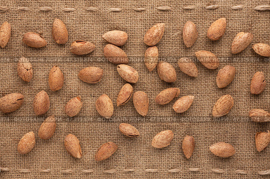 Unshelled almond. Стоковое фото, фотограф Александр Собко / Фотобанк Лори