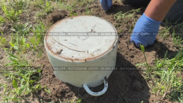 Upside-down pot on ground. Man installing mole trap into animal burrow. Covered with pot for light isolation. Стоковое видео, видеограф Vadzim Yakubovich / Фотобанк Лори