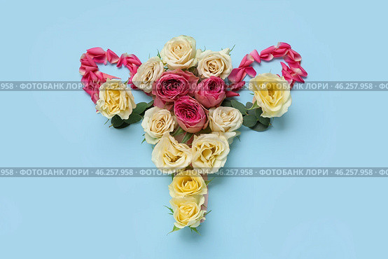Uterus made of beautiful flowers on blue background. Стоковое фото, фотограф Pixel_shot / Фотобанк Лори