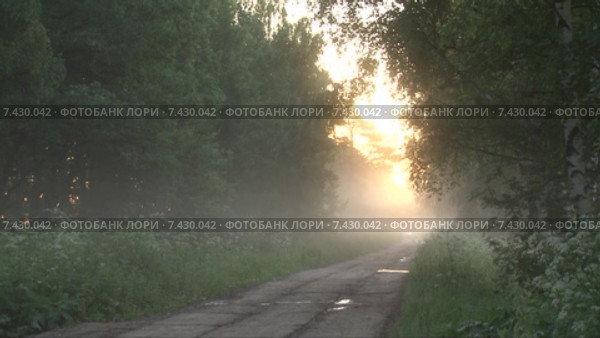 Утро и туман на сельской дороге. Timelapse. Скорость х96. Стоковое видео, видеограф Mike The / Фотобанк Лори