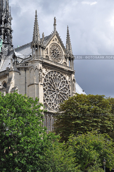 Южный фасад собора Парижской Богоматери, Нотр-Дам-де-Пари (Notre-Dame de Paris), Париж, Франция (2013 год). Стоковое фото, фотограф Дарья Кравченко / Фотобанк Лори