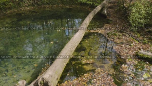 Южный Урал, карстовое озеро Голубой Грифон у реки Зилим. The Southern Urals, the Blue Griffin karst lake near the Zilim River. Стоковое видео, видеограф Евгений Романов / Фотобанк Лори