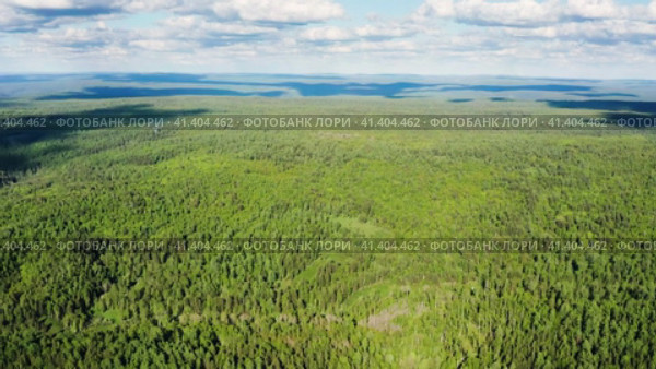 Южный Урал летом: Зилаирский район, горная тайга. Вид с воздуха. Southern Urals in the summer: Zilairsky district, mountain taiga. Aerial view. Стоковое видео, видеограф Евгений Романов / Фотобанк Лори