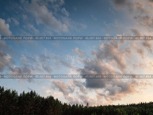 Южный Урал. Силуэты сосен на фоне закатного неба. The Southern Urals. Silhouettes of pine trees against the sunset sky. Стоковое фото, фотограф Евгений Романов / Фотобанк Лори