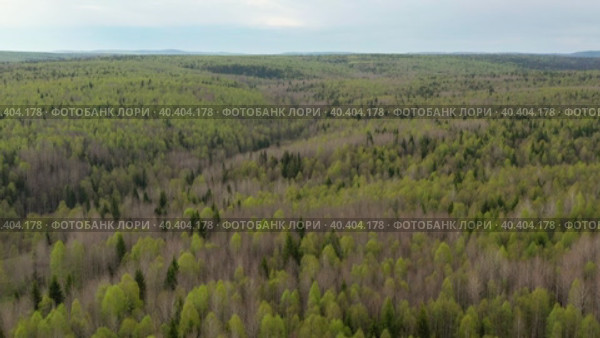 Южный Урал весной, вид на горную тайгу с воздуха. Southern Urals in spring, a view of the mountain taiga from the air. Стоковое видео, видеограф Евгений Романов / Фотобанк Лори